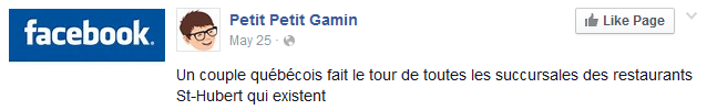 Lien vers page Facebook de Petit Petit Gamin